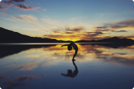 Yoga ve Fitness